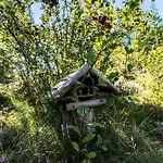 Island Life With Undisturbed Nature And Calmness *