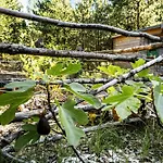 Island Life With Undisturbed Nature And Calmness Feriehus *
