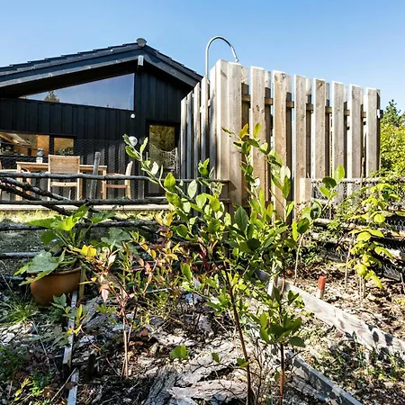 Island Life With Undisturbed Nature And Calmness Vakantiehuis Kongsmark
