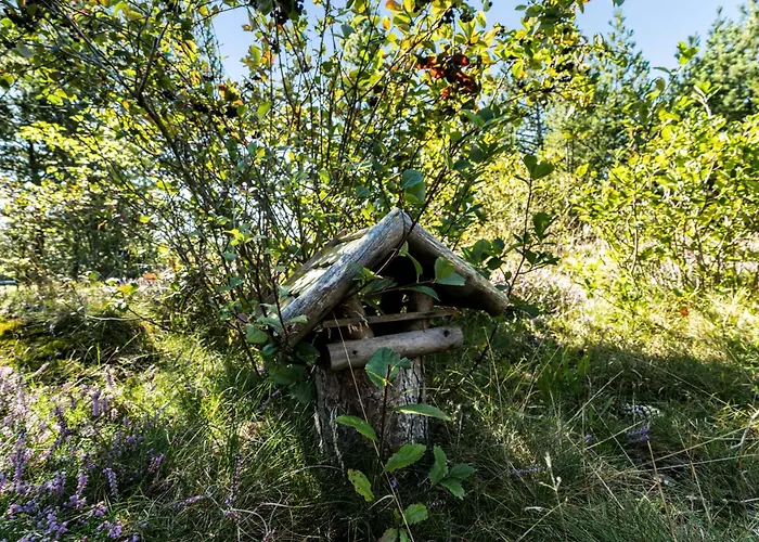 Island Life With Undisturbed Nature And Calmness *