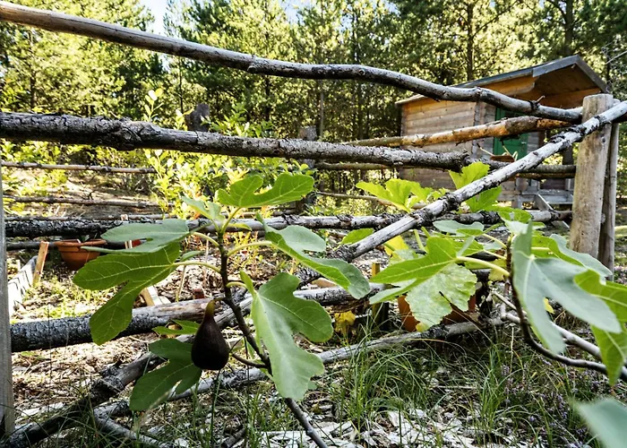 Island Life With Undisturbed Nature And Calmness Σπίτι διακοπών *